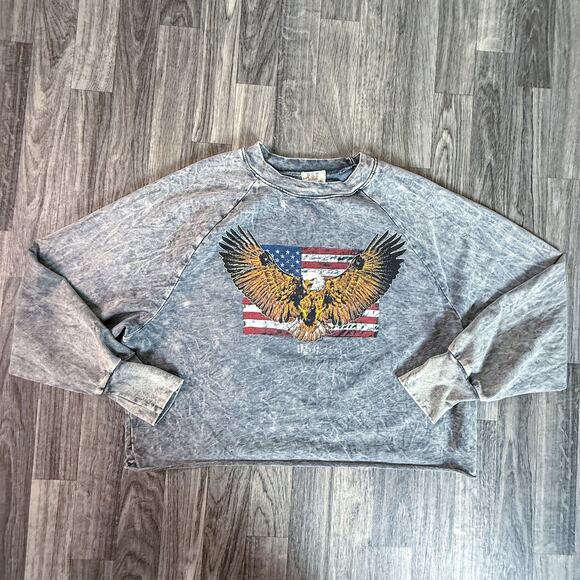 PST LA Project Social T Eagle Flag Cropped Sweatshirt Gray USA Graphic M - Picture 1 of 8